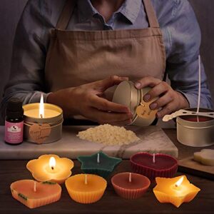Candle Making Kit, Deluxe Candle Making Supplies, DIY Craft and Arts Kits, Including Pouring Pot, Beeswax, Color Dye, Fragrance Oil, Thermometer, Candle Tins, Molds, Wicks, Stickers, Wicks Holders