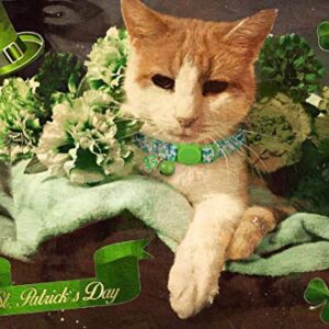 BoomBone 2 Pack St Patricks Day Cat Collar Breakaway,Safety Adjustable Collars with Bell for Kitten