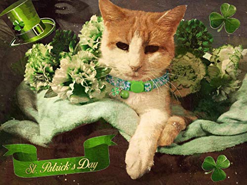 BoomBone 2 Pack St Patricks Day Cat Collar Breakaway,Safety Adjustable Collars with Bell for Kitten