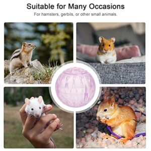 ULTECHNOVO Hamster Ball, Hamster Running Ball 10cm Transparent Run Exercise Ball Portable Mini Ball Hamster Plaything Toy Pets Cage Accessories for Small Animal Pets