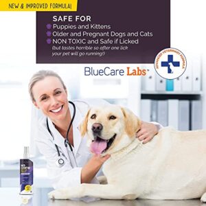 BLUECARE LABS Bitter Apple Spray for Dogs to Stop Chewing - Corrector Spray for Dogs to Prevent Licking and Chewing on Furniture, Paws and Wounds - No Alcohol and Non Toxic - Made in The USA 8oz