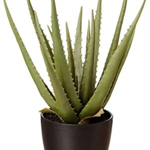 Amazon Basics Artificial Fake Agave Plant with Plastic Planter Pot , 16.9-Inch