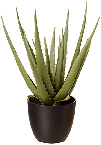 Amazon Basics Artificial Fake Agave Plant with Plastic Planter Pot , 16.9-Inch