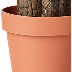 Amazon Basics Artificial Dracaena Tree with Plastic Faux Terracotta Pot, 60-Inch