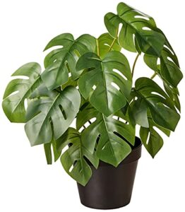 amazon basics artificial monstera plant with plastic nursery pot, 13-inch