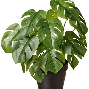 Amazon Basics Artificial Monstera Plant with Plastic Nursery Pot, 13-Inch