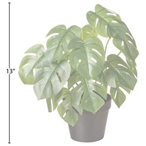 Amazon Basics Artificial Monstera Plant with Plastic Nursery Pot, 13-Inch