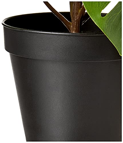 Amazon Basics Artificial Monstera Plant with Plastic Nursery Pot, 13-Inch