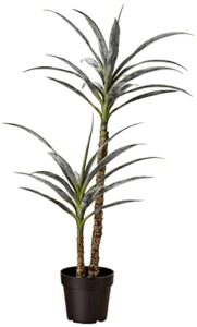 amazon basics artificial yucca plant with plastic nursery pot, 40-inch