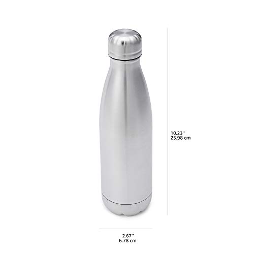 Amazon Basics 0.5L / 16.9 Fl. Oz. Stainless Steel Sport Water Bottle with Vacuum Sealed, Leak-Proof Lid