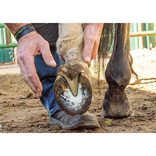 Hoof Trimming Disc Professional Electric Hoof Repair Tool High Working Efficiency and Durable