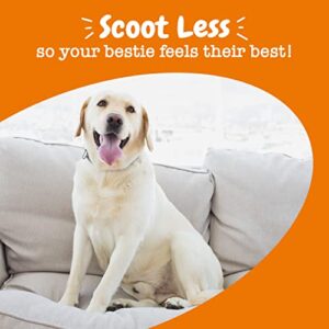 Zesty Paws Scoot Away Soft Chews for Dogs - with Bromelain, Vita Fiber & Dandelion Root for Digestive Support Against Scoots for Gut Health & Support for Normal Bowel Movement - 90 Soft Chews