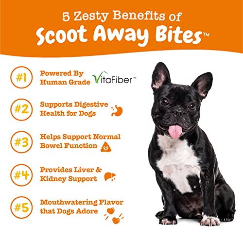 Zesty Paws Scoot Away Soft Chews for Dogs - with Bromelain, Vita Fiber & Dandelion Root for Digestive Support Against Scoots for Gut Health & Support for Normal Bowel Movement - 90 Soft Chews