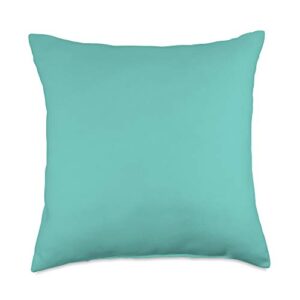 all-homes & lifestyles | local fresh aqua teal blue colored modern home & living accessory throw pillow, 18x18, multicolor