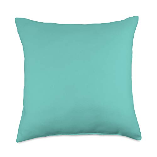 All-Homes & Lifestyles | Local Fresh Aqua Teal Blue Colored Modern Home & Living Accessory Throw Pillow, 18x18, Multicolor
