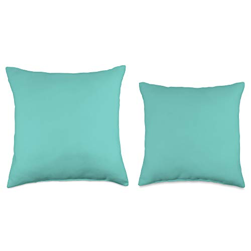 All-Homes & Lifestyles | Local Fresh Aqua Teal Blue Colored Modern Home & Living Accessory Throw Pillow, 18x18, Multicolor