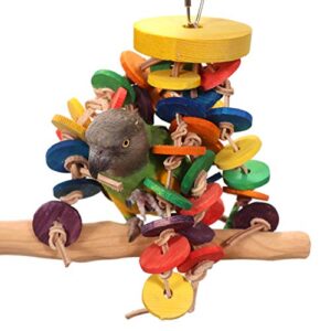 tropical circles - small/medium parrot wood toy