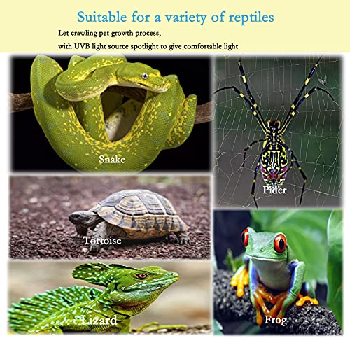 Reptile Heat Lamps, Rotatable Basking Lamp, UVA/UVB Turtle Aquarium Tank Heating Lamps with Clamp for Lizard Turtle Snake Spider Frog Aquarium Aquatic Plants with 3 Heat Bulbs & 1 TM (E27,110V)