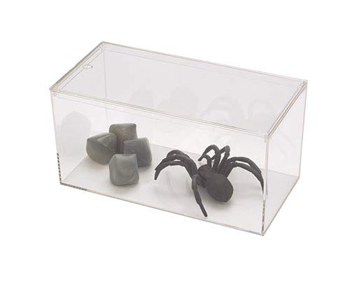 Pioneer Plastics 083CAQUA Clear Micro Habitat Terrarium, Tarantula Enclosure, Desktop Aquarium, 7.75" W x 3.75" D x 3.75" H