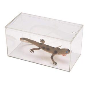 Pioneer Plastics 083CAQUA Clear Micro Habitat Terrarium, Tarantula Enclosure, Desktop Aquarium, 7.75" W x 3.75" D x 3.75" H