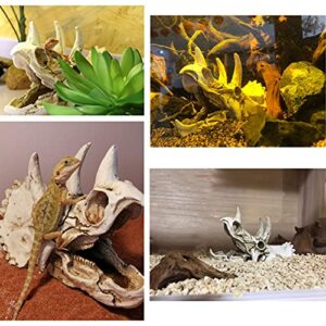 Tfwadmx Bearded Dragon Tank Accessories Resin Dinosaur Triceratops Skull Skeleton Reptiles Hideouts Cave Vines Leaves Aquarium Decorations for Lizards,Chameleon,Snake,Spider,Gecko