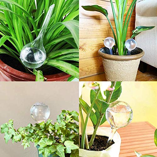 Gddochn 6 Pack Plant Self-Watering Bulbs,Clear Garden Watering Globes,Automatic Water Device for Plants,Indoor Outdoor Decor