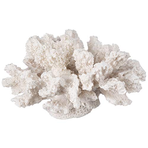 Nautical Crush Trading Decorative Sea Coral - 4in x 3.5in x 2.5in - Small White Coral for Beachy Decor - Perfect for Aquariums - Fish Tanks