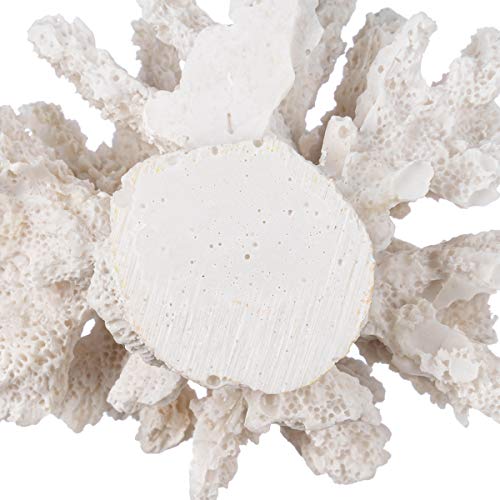 Nautical Crush Trading Decorative Sea Coral - 4in x 3.5in x 2.5in - Small White Coral for Beachy Decor - Perfect for Aquariums - Fish Tanks