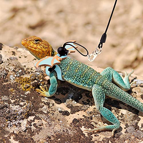 Bearded Dragon Leash and Harness Adjustable Leather Wings Costume Clothes from Baby to Juvenile Lizard Iguana Gecko Chameleon Hamster Ferret Reptile Walking Carrier Accessoreis S M L 3 Pack (Sky Blue)