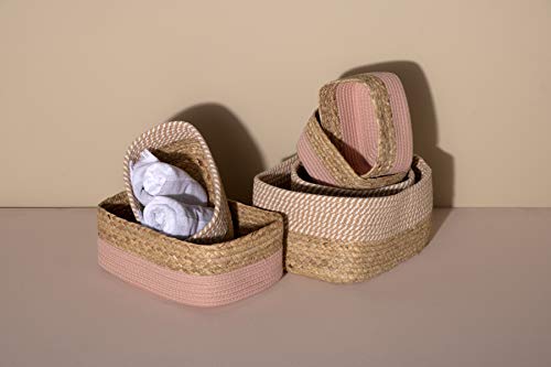 Shiraleah Set of 3 Blush Dalton Organizer Baskets