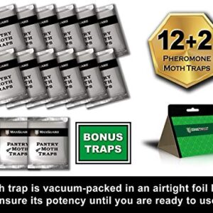 MAXGUARD Pantry Moth Traps (12 Pack +2 Free) with Extra Strength Pheromones | Non-Toxic Sticky Glue Trap for Food and Cupboard Moths in Your Kitchen | Trap and Kill Seed Grain Flour Meal Moths |