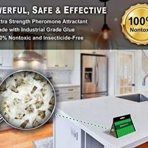 MAXGUARD Pantry Moth Traps (12 Pack +2 Free) with Extra Strength Pheromones | Non-Toxic Sticky Glue Trap for Food and Cupboard Moths in Your Kitchen | Trap and Kill Seed Grain Flour Meal Moths |