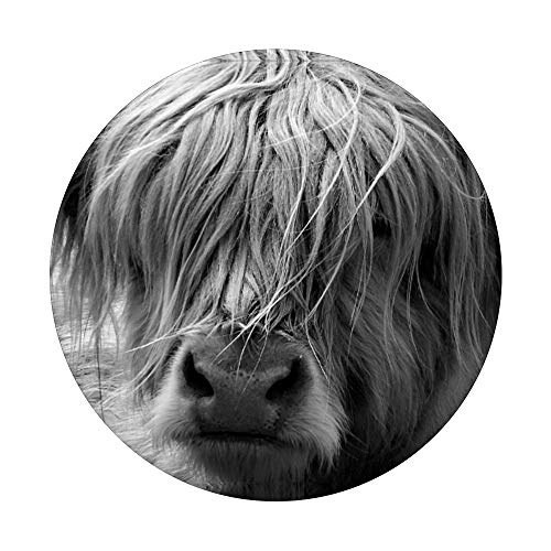 Highland Cow Black & White Scottish Highland Cow Coo Farm PopSockets Swappable PopGrip