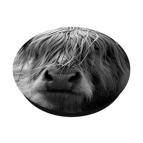 Highland Cow Black & White Scottish Highland Cow Coo Farm PopSockets Swappable PopGrip