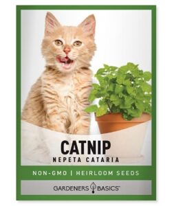 gardeners basics catnip seeds for planting is a heirloom, non-gmo herb variety- nepeta cataria herb seeds great for indoor and outdoor gardening and cats