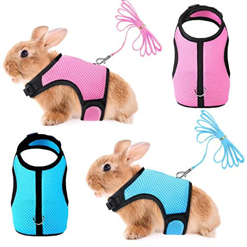 2 Pieces Bunny Rabbit Harness with Leash Cute Adjustable Buckle Breathable Mesh Vest for Kitten Puppy Small Pets Walking (Blue, Pink,M)