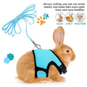 2 Pieces Bunny Rabbit Harness with Leash Cute Adjustable Buckle Breathable Mesh Vest for Kitten Puppy Small Pets Walking (Blue, Pink,M)