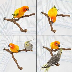 kathson Natural Parrot Perch Bird Stand Pole Wild Grape Stick Paw Grinding Fork Parakeet Climbing Standing Branches Toy Chewable Cage Accessories for Small Budgies Cockatiels Lovebirds 2PCS