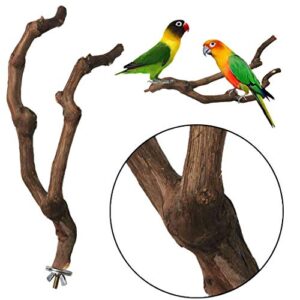 kathson Natural Parrot Perch Bird Stand Pole Wild Grape Stick Paw Grinding Fork Parakeet Climbing Standing Branches Toy Chewable Cage Accessories for Small Budgies Cockatiels Lovebirds 2PCS