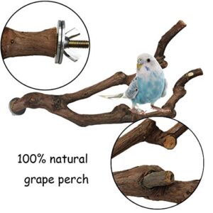 kathson Natural Parrot Perch Bird Stand Pole Wild Grape Stick Paw Grinding Fork Parakeet Climbing Standing Branches Toy Chewable Cage Accessories for Small Budgies Cockatiels Lovebirds 2PCS