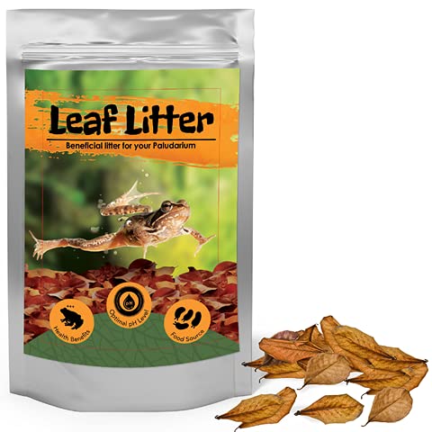 JOR Dwarf Frog Leaf Litter, Year Round Food for Your Frog, Nurtures Frogs and Indoor Plants, Creates A Frog Paradise, 100 pcs