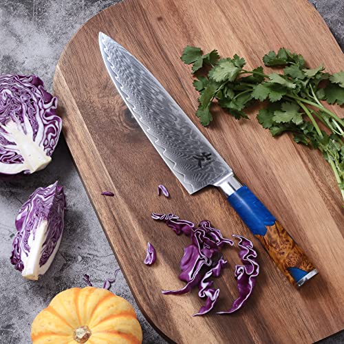 SAMCOOK Chef Knife - 8 Inch Professional Sharp Gyuto Knife - Japanese VG-10 Damascus High Carbon Stainless Steel Kitchen Cooking knife - Ergonomic Blue Resin Wood Handle with Gift Box