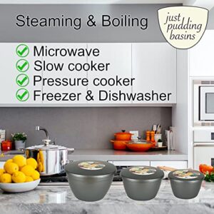 Just Pudding Basins 3 Pint Plastic Pudding Basin and Lid Clear 2 Pack 3pt Steam Dessert Bowls