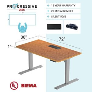 Standing Desk Bamboo top 72x30, Electric. Adjustable Height Large Stand up Motorized Ergonomic Raised Computer Desk for Home Office