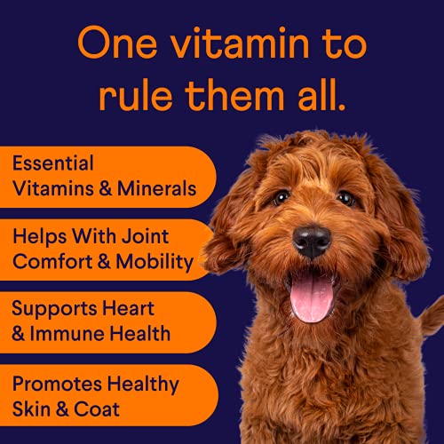 Finn All-in-1 Dog Multivitamin - Everyday Vitamin Supplement for Dogs with Probiotics, Omega-3s, Glucosamine + Chondroitin | Gut & Immune Health, Joint Support, Heart Health | 90 Soft Chew Treats