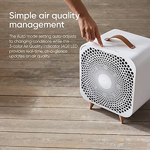 BLUEAIR Pure Fan Auto, 3-Speed HEPASilent Room Fan, Cools + Cleans, Removes Allergens Dust Pollen for Floor Table Desk and Bedrooms, White, Medium