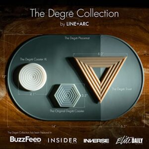 The Original Degrē Coaster (Set of 6, Winter Salad) by LINE+ARC. 10mm Thick Dishwasher Safe Stain-Resistant Outdoor Coffee Table Silicone Modern Hexagon MidCentury Cup Drink Non-Absorbent Rubber