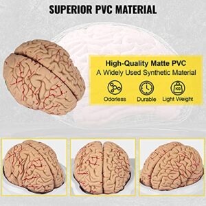 VEVOR Human Brain Model Anatomy 9-Part Model of Brain Life Size Human Brain Anatomical Model w/Display Base & Color-Coded Artery Brain Teaching Anatomy of Brain for Science Classroom Study Display