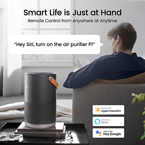 smartmi Air Purifiers for Home, Works with HomeKit Alexa, Smart Air Purifier with Handle, Auto Mode, 19db, 0.08 µm Particles Captured, P1 Dark Grey