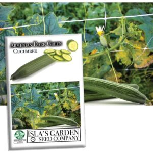 "armenian dark green" cucumber seeds for planting, 100+ heirloom seeds per packet, (isla's garden seeds), non gmo seeds, botanical name: cucumis sativus, great home garden gift